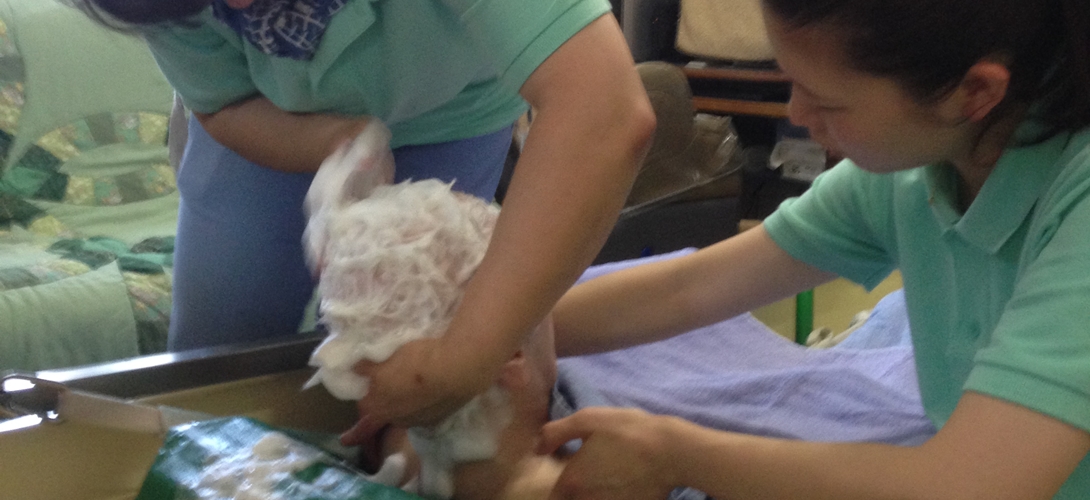 居宅介護支援のイメージ写真3